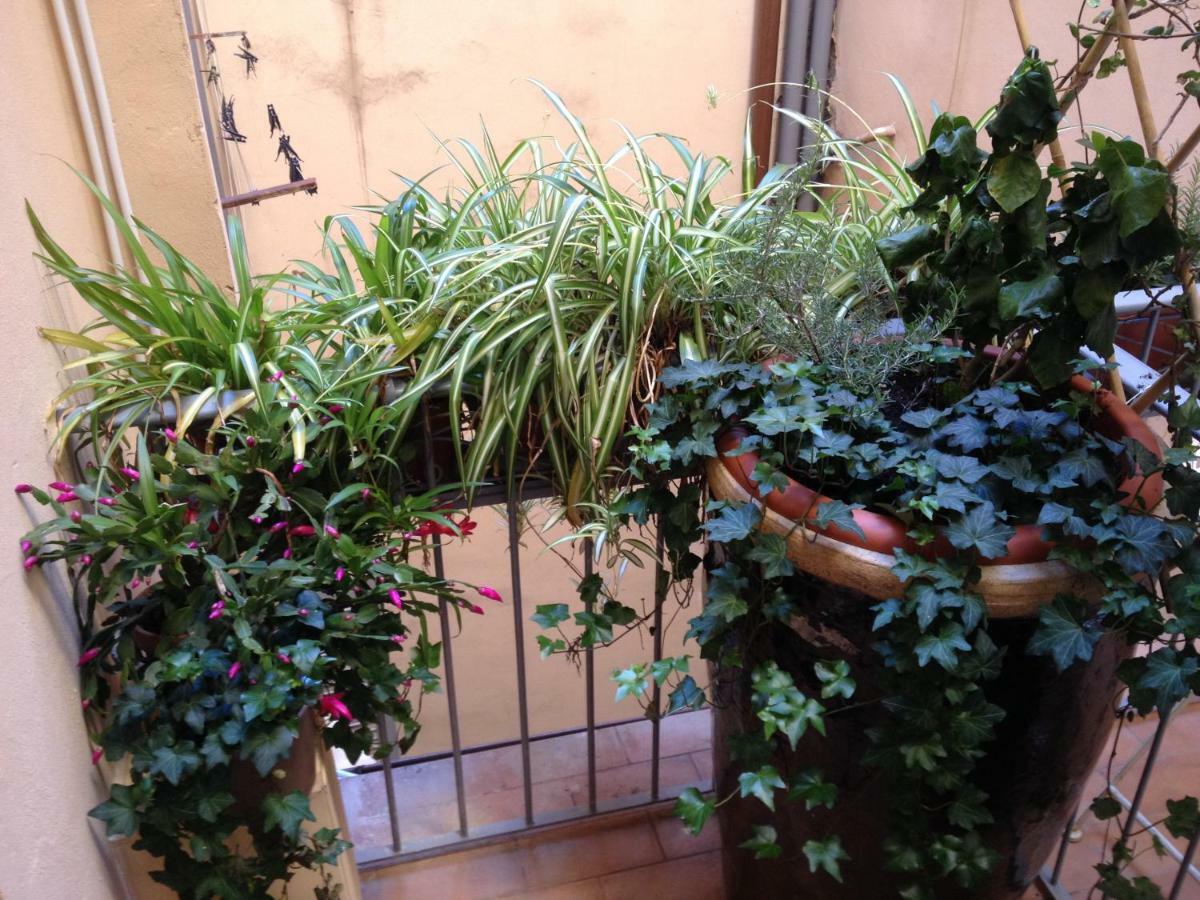 Oasis In The Heart Of Florence Buitenkant foto